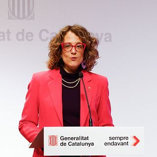 Catalua pone en marcha un grupo de expertos para frenar la violencia vicaria