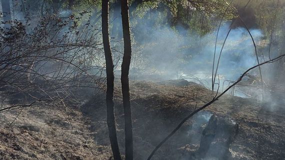 La Generalitat actualitza l'Infocat, en previsi d'un major risc d'incendis forestals