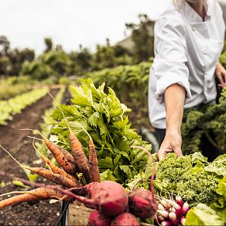 La agricultura ecológica es ahora el camino