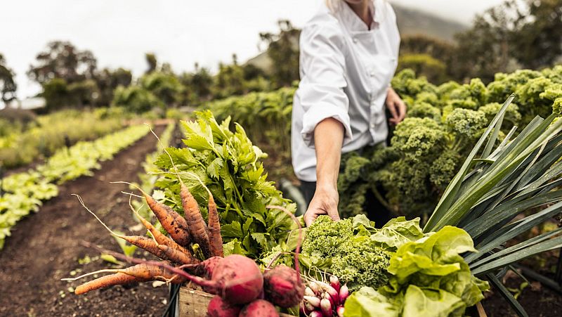 Vida verde - La agricultura ecológica es ahora el camino - 20/04/24 - Escuchar ahora