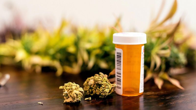 La investigació sobre l'ús terapèutic del cànnabis avança | MARÍA GÓMEZ