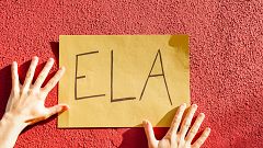 El Congreso acepta la proposición de la Ley ELA