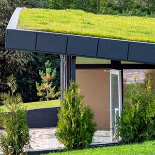 Els horts urbans tenen set, disruptors endocrins i casa sense t�xics