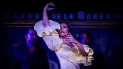 El gallo que no cesa - Homenaje al Corral de la Morería, templo y cuna del flamenco