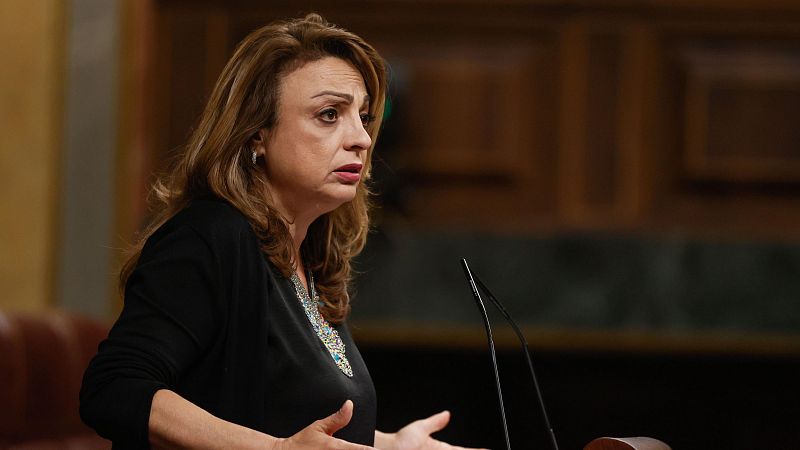 Parlamento RNE - Cristina Valido (CC): "Con o sin Sánchez, las preocupaciones de Canarias son nuestra prioridad" - Escuchar ahora