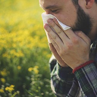 Cómo influye el cambio climático en las reacciones alérgicas
