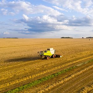 Mundo rural - Mundo rural - PAC: Modificación del real decreto relativo a las normas de condicionalidad - 29/04/24 - Escuchar ahora