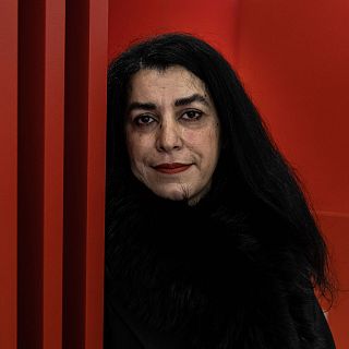 Marjane Satrapi, historia del arte y del c�mic