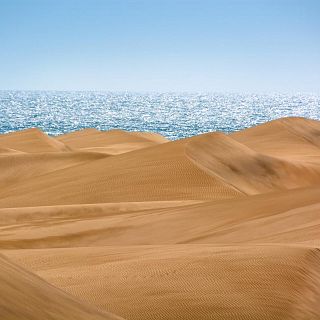 Protegir la costa, impulsar les dunes i caminar cap a la Transformaci ecosocial