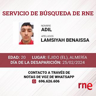 Servicio de búsqueda