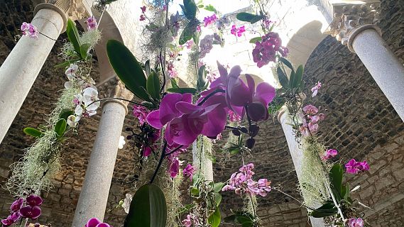 Ritme frenètic a Girona per inaugurar 'Temps de Flors'