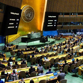 La Asamblea General de la ONU respalda mayoritariamente a Palestina