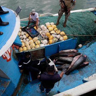 ¿Cuál es la situación de la pesca ilegal en México?