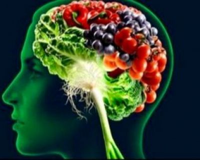 La relación entre la alimentación y el cerebro