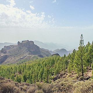 Crist�bal, el que vendi� su alma al diablo