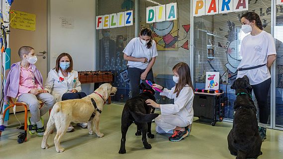 Burgos - Mil Encinas, terapias con animales