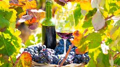 13ª Feria Insular del Vino de La Palma (Los Llanos de Aridane)