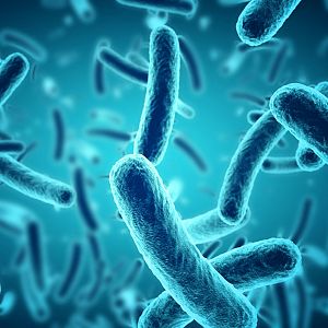 Entre probetas - Entre probetas - Bacteriófagos como próximos antibacterianos - 21/05/24 - Escuchar ahora