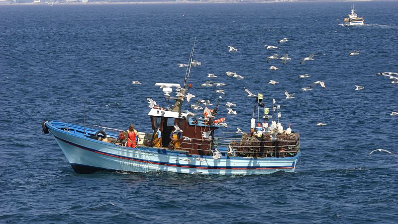 La pesca intensiva no se reduce en el Mediterráneo