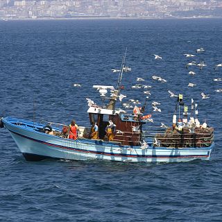 La pesca intensiva no se reduce en el Mediterráneo
