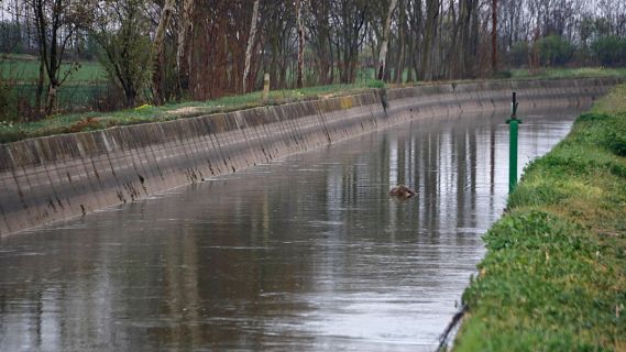 La millora de les reserves d'aigua permet un quart reg al Canal d'Urgell