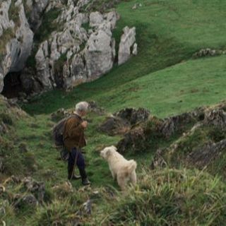 Entre pastores y paisajes