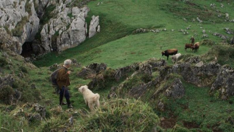 Reserva natural - Entre pastores y paisajes - 23/05/24 - Escuchar ahora