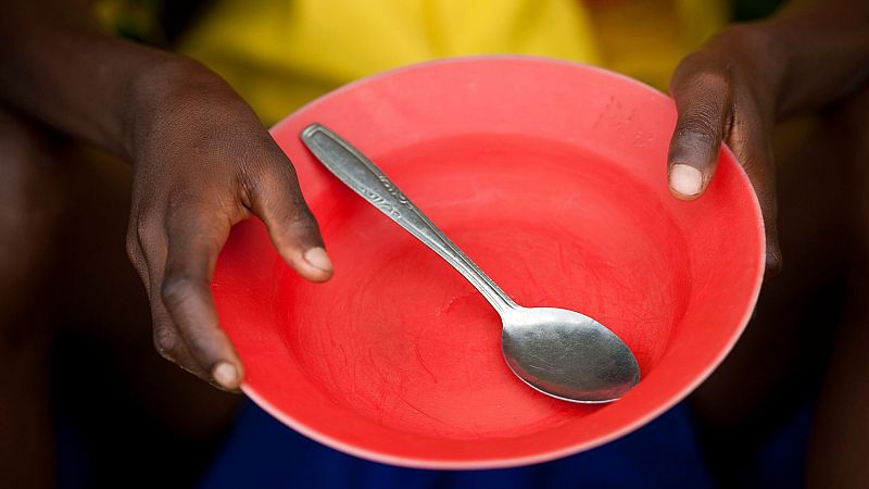 Más cerca - Más de 780 millones de personas en el mundo pasan hambre - Escuchar ahora