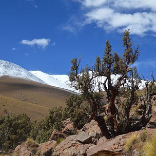 Planeta vivo