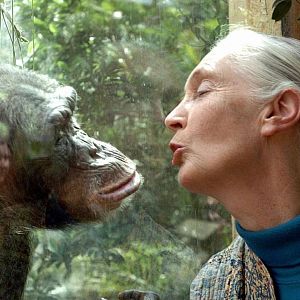 Memoria de delfín - Memoria de delfín - Miastenia 3ª Hora: Goodall, Tarzán, ocultismo y Burnette - Escuchar ahora