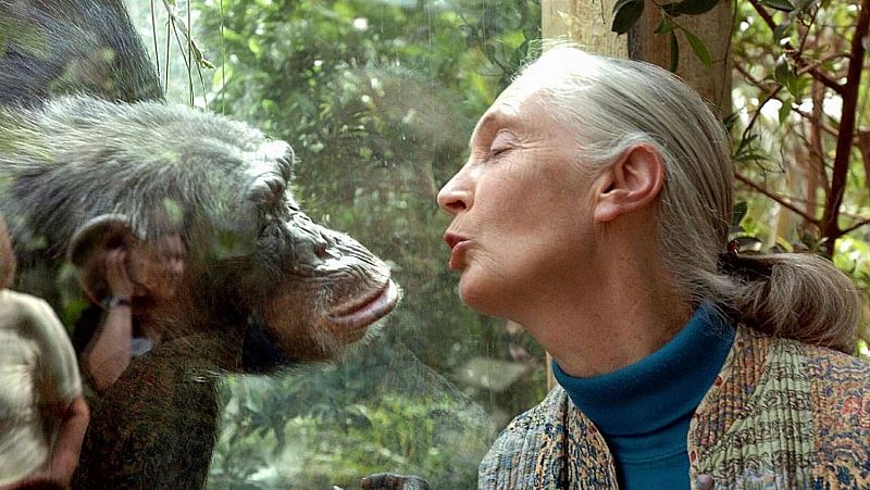 Memoria de delfín - Personaje de 1934: Jane Goodall - Escuchar ahora