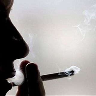 El tabaco mata a 8 millones de personas al a�o