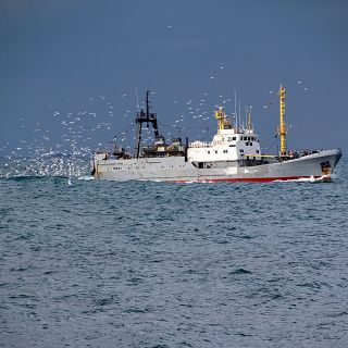 La prohibición del arrastre de fondo en el Mediterráneo