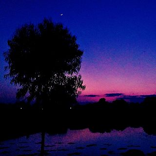 Pequeña serenata nocturna