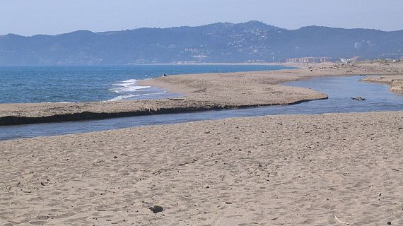 Entitats naturalistes es mobilitzen per reclamar l'accs lliure a la platja de la Gola del Ter