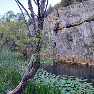 Pearanda de Duero y el Can del Ro Lobos