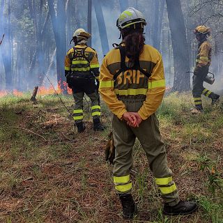 BRIF, Brigadas de refuerzo de incendios forestales