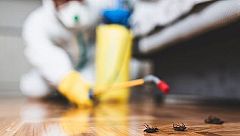 Les plagues s'avancen dos mesos a causa del canvi climàtic