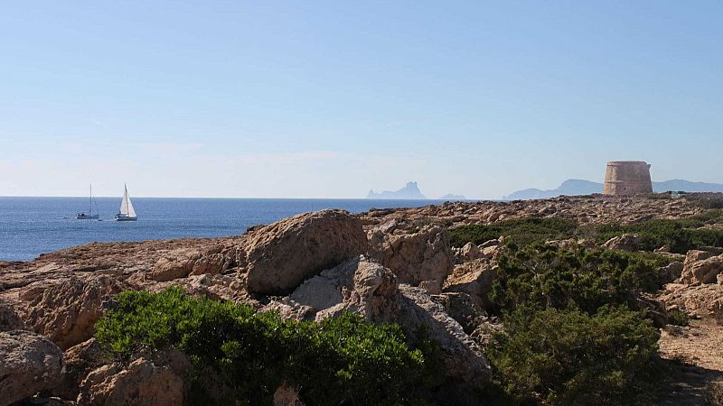 Vida Verda - Especial Formentera. Situaci al camp i a les platges - Escoltar Ara
