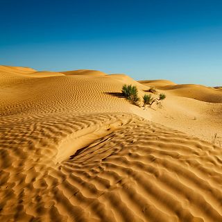 'Sahara: la llamada del desierto'