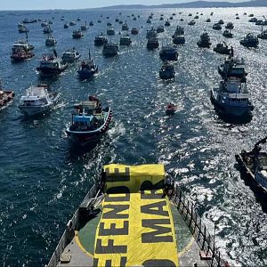 Planeta vivo - Planeta vivo - Altri - 19/06/24 - Escuchar ahora