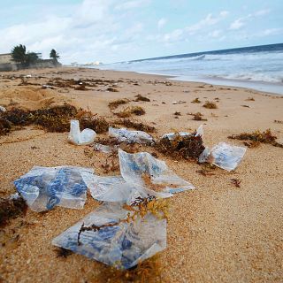 'Limpiemos el Mar' recoge media tonelada de basura
