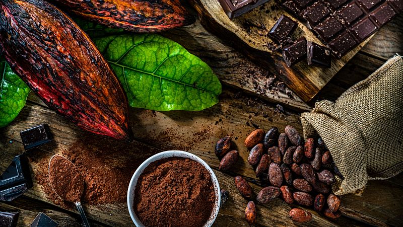 Hora América en Radio 5 - Recorrido por el cacao ecuatoriano en el Jardín Botánico - 25/06/24 - Escuchar ahora