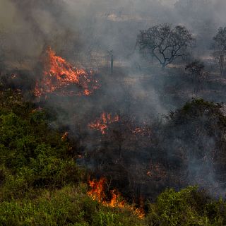 Brasil tem recorde de incêndios com graves focos no Pantanal