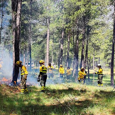 BRIF, Especialistas en la extinción y prevención de incendios - Escuchar ahora