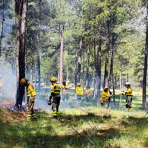 Más cerca - BRIF, Especialistas en la extinción y prevención de incendios - Escuchar ahora