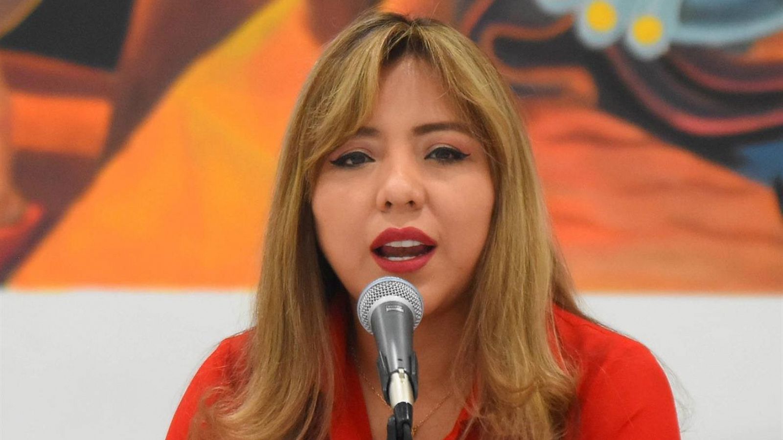24 horas - Gabriela Alcón, viceministra de Comunicación de Bolivia: "Hay 17 militares detenidos"