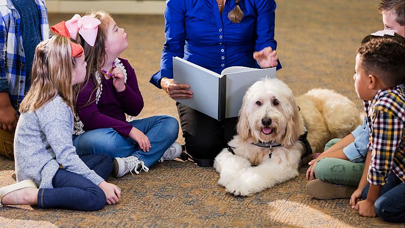 Mundo solidario - Lectura inclusiva con perros - 30/06/24 - Escuchar ahora