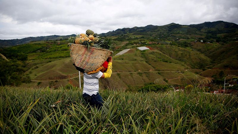 Reportajes 5 continentes - Colaborar no imponer, un nuevo enfoque en el humanitarismo en Colombia - Escuchar ahora