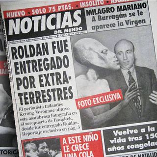 Memoria de delfín